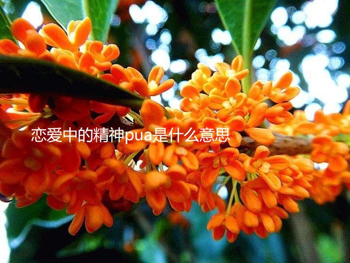 恋爱中的精神pua是什么意思