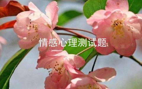 情感心理测试题
