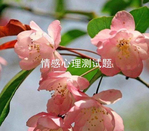 情感心理测试题