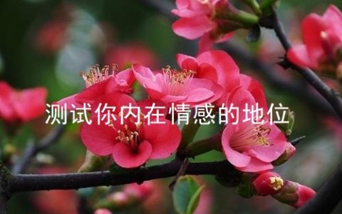 测试你内在情感的地位