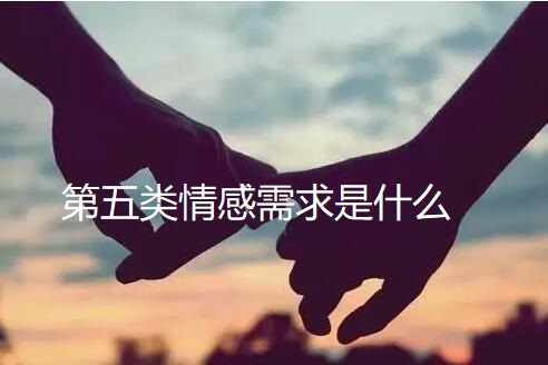 第五类情感需求是什么