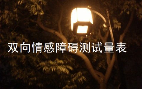 双向情感障碍测试量表
