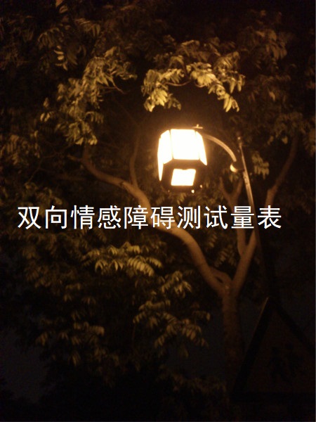 双向情感障碍测试量表