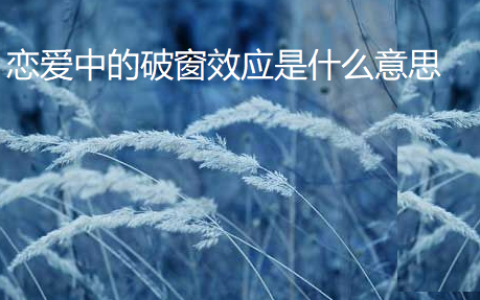 恋爱中的破窗效应是什么意思