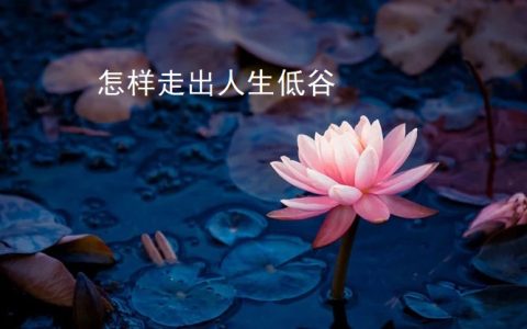 怎样走出人生低谷