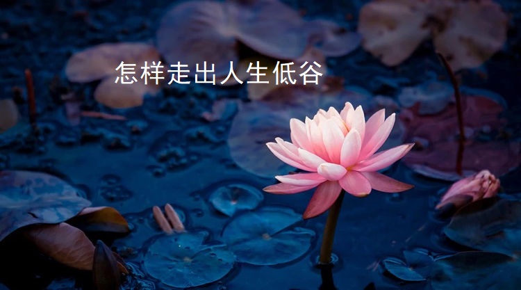 怎样走出人生低谷