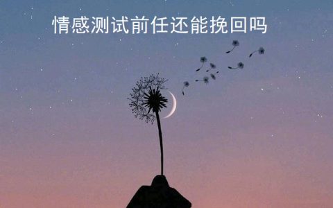 情感测试前任还能挽回吗