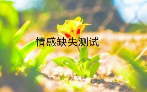 情感缺失测试