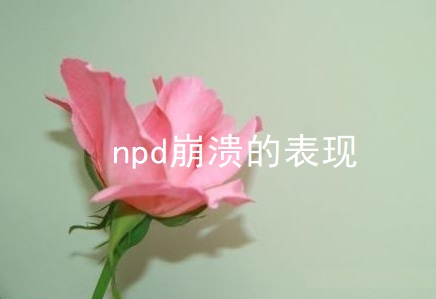 npd崩溃的表现