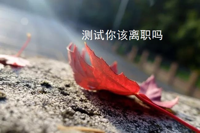 测试你该离职吗 离职应该注意哪些事项