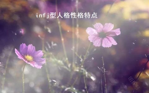 infj型人格性格特点 infj型人格适合的伴侣