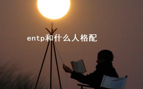 entp和什么人格配 entp型人格特点