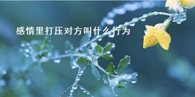 感情里打压对方叫什么行为 如何对待打压你的人