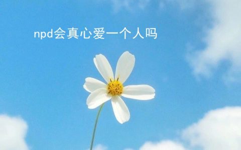 npd会真心爱一个人吗 npd和pua区别