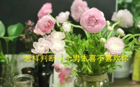 怎样判断一个男生喜不喜欢你 喜欢一个人是什么感觉