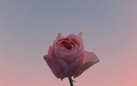 两个人冷战一直持续不说话怎么办 冷战怎么解决