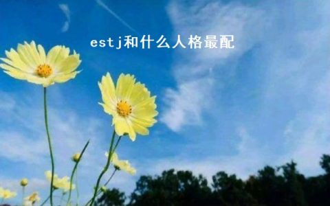 estj和什么人格最配 estj人格职业