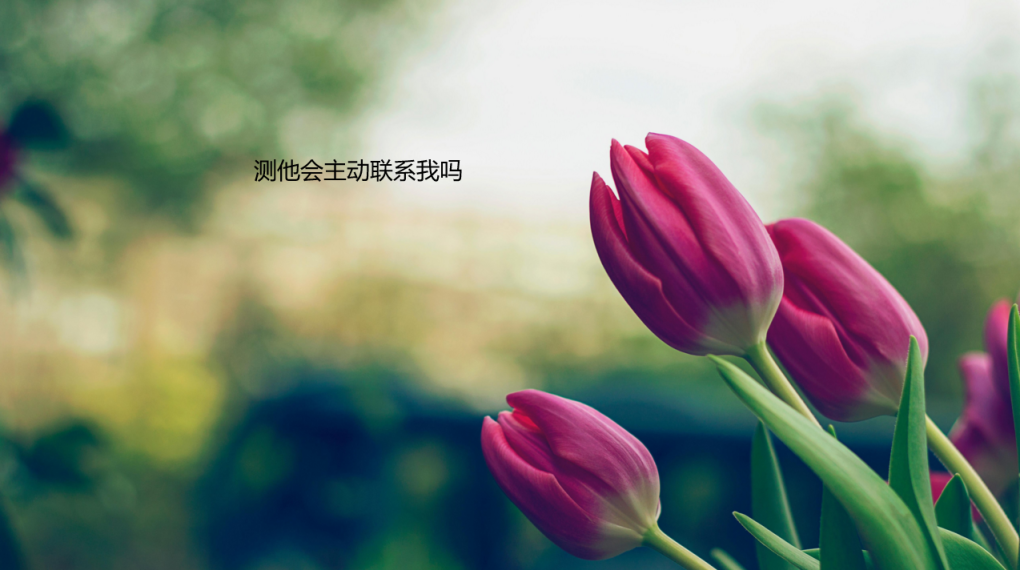 测他会主动联系我吗 测试他多久会来联系你