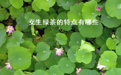 女生绿茶的特点有哪些 绿茶男的典型特征