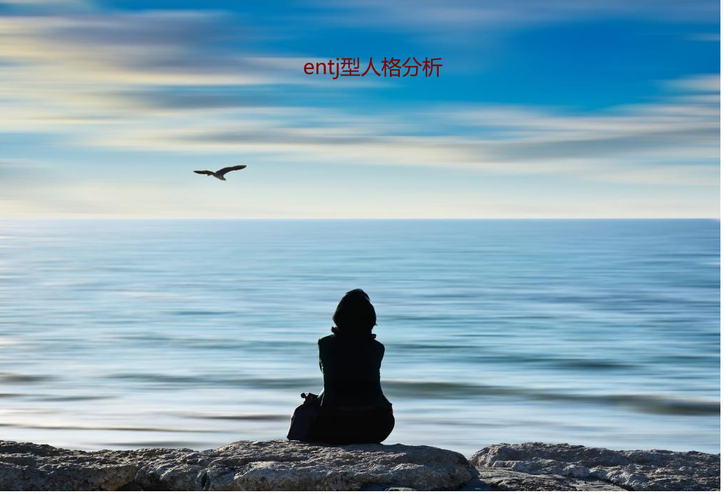 entj型人格分析 entj型人格男生爱情
