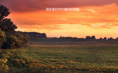 消失是对NPD最好的报复 npd有什么样的原生家庭