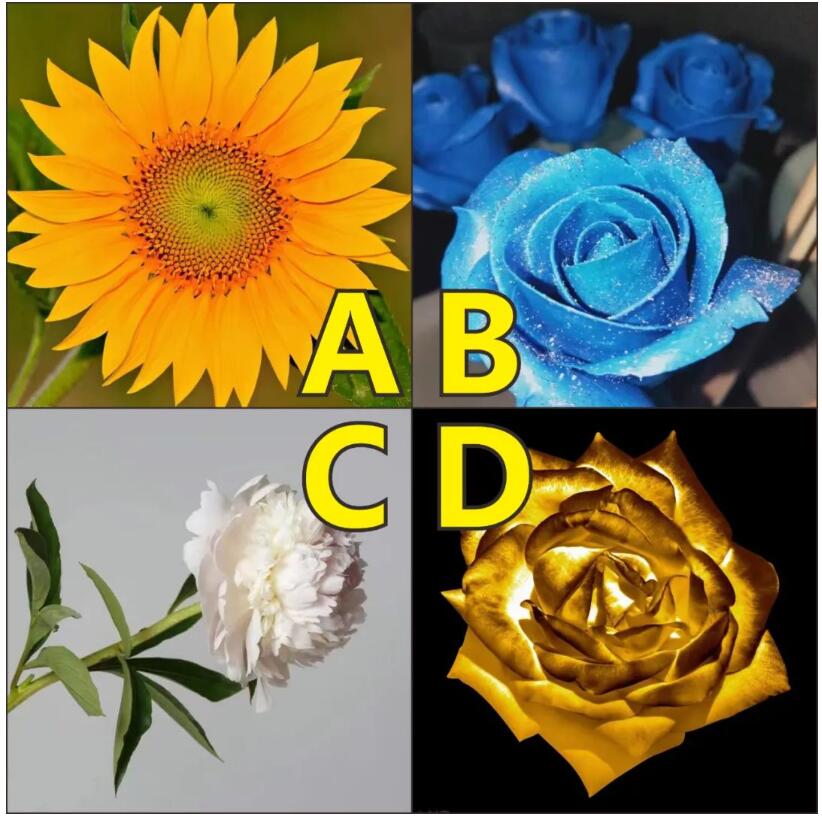 心机婊是什么意思 测你是心机婊还是傻白甜