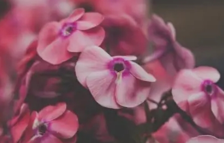 女生主动分手后的心理阶段有哪些 女生主动分手后会后悔吗