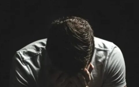 贝勃定律什么意思 贝勃定律适用于哪些领域