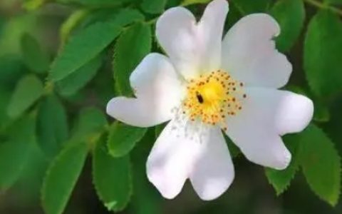 为什么男生不愿意送礼物给女生 男人不买礼物说明不爱吗