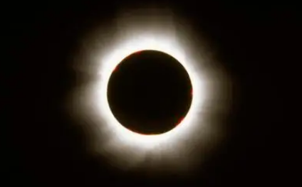 黑暗效应是什么意思 黑暗效应的心理学机制是什么