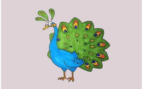 孔雀型人格适合什么工作 孔雀型人格具有什么特点