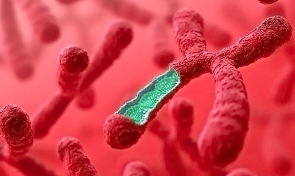 超雄综合症孩子的特点解析 什么情况会生超雄的孩子