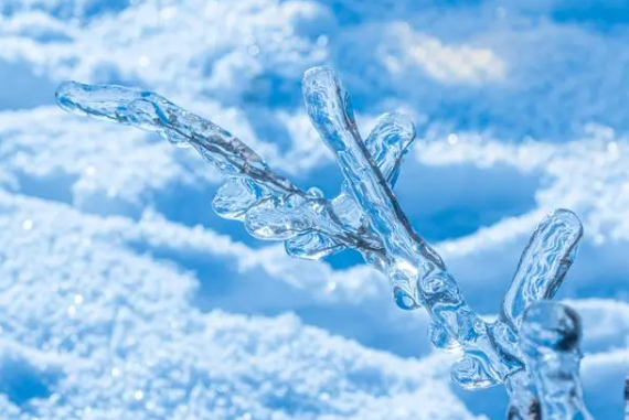 冰恋是什么意思 冰恋是什么原因造成的