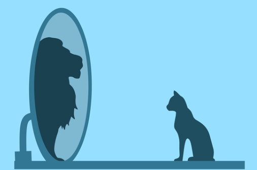 人生三大错觉是哪三件事情