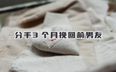 分手3个月挽回前男友