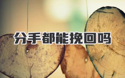 分手都能挽回吗