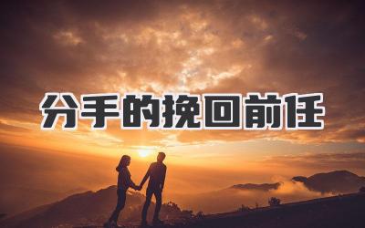 分手的挽回前任
