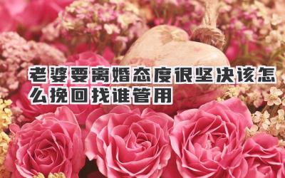 老婆要离婚态度很坚决该怎么挽回找谁管用