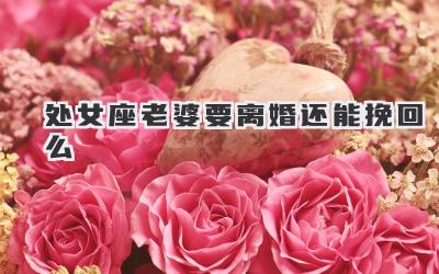 处女座老婆要离婚还能挽回么