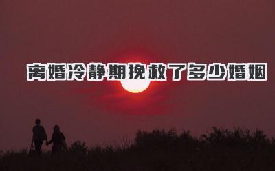 离婚冷静期挽救了多少婚姻