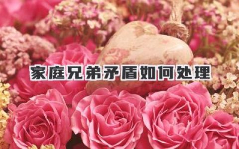 家庭兄弟矛盾如何处理