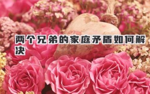 两个兄弟的家庭矛盾如何解决