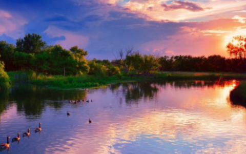 属狗和属猴的婚姻怎么样 属猴和属狗结婚合得来吗