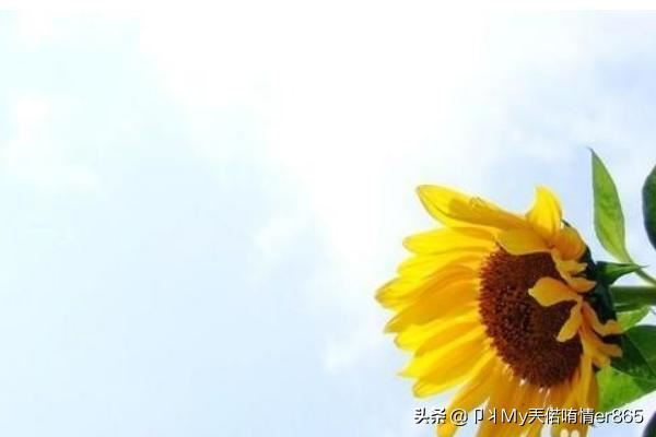 和男朋友吵架后怎么挽回?