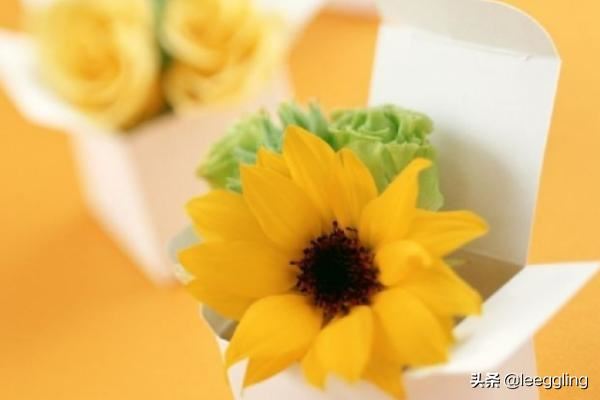 夫妻吵架冷战怎么办？怎么和好？