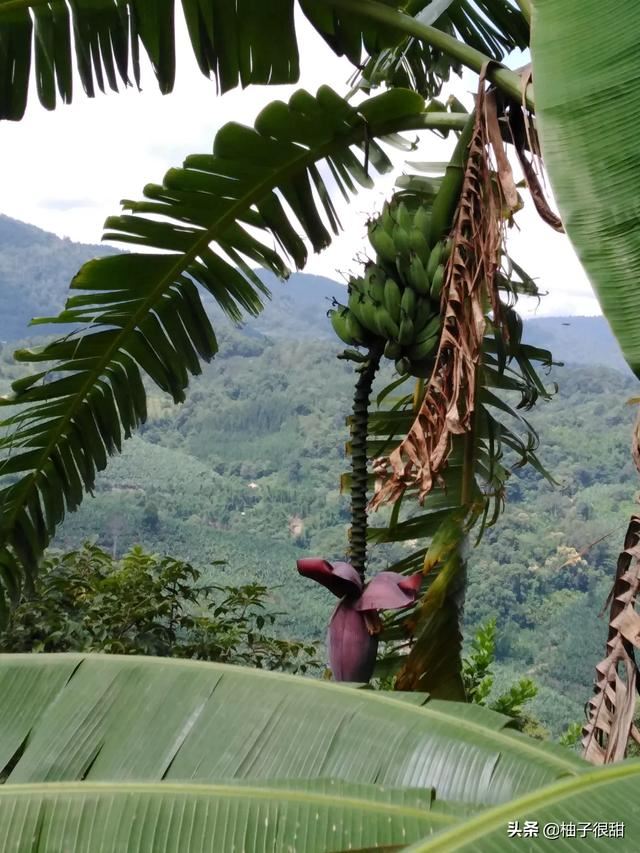 为什么总是会和家里人吵架？