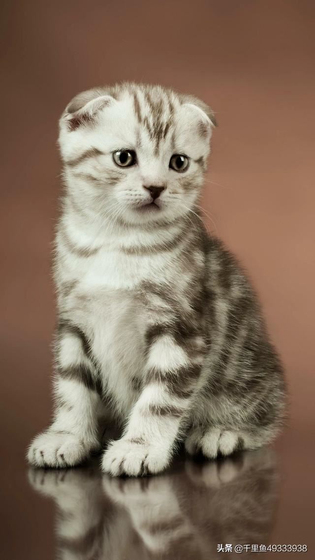 为什么总是会和家里人吵架？