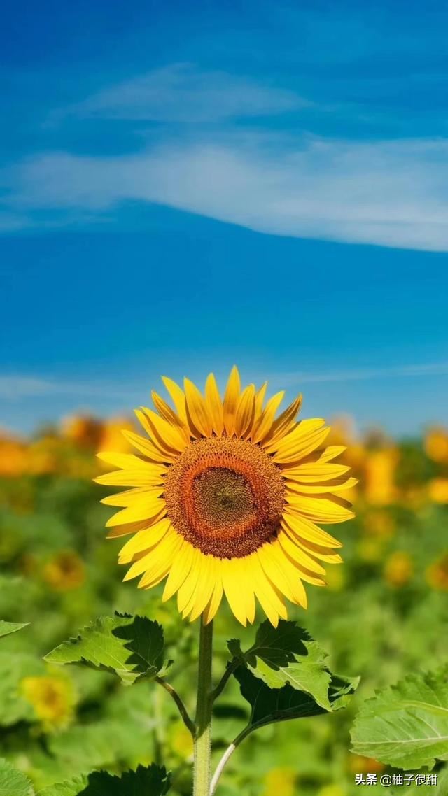 为什么总是会和家里人吵架？