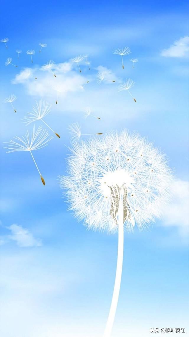 和爸爸妈妈吵架了不好意思道歉怎么办？