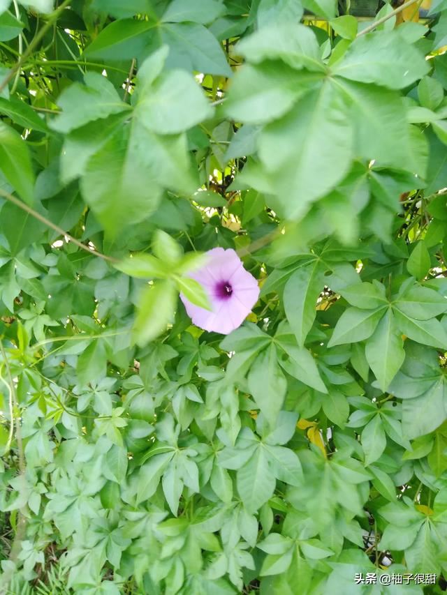 为什么总是会和家里人吵架？